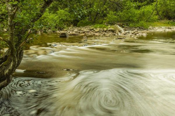 Scotland, Cairngorm NP Swirling water in stream